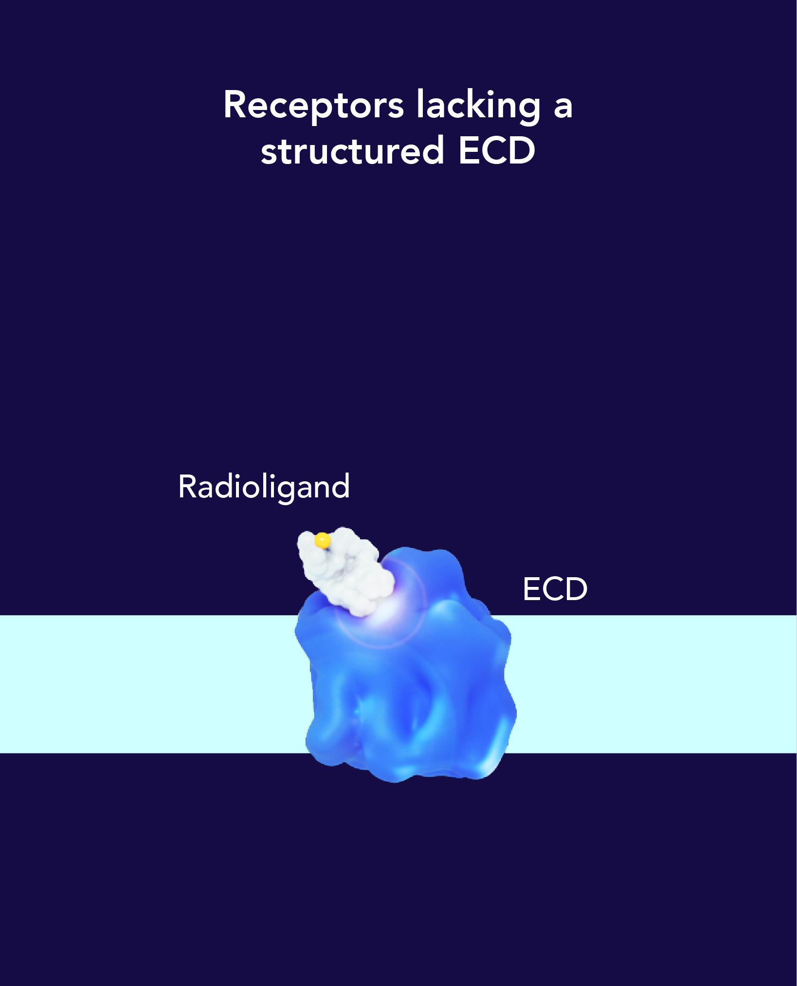 Receptors lacking a structured ECD